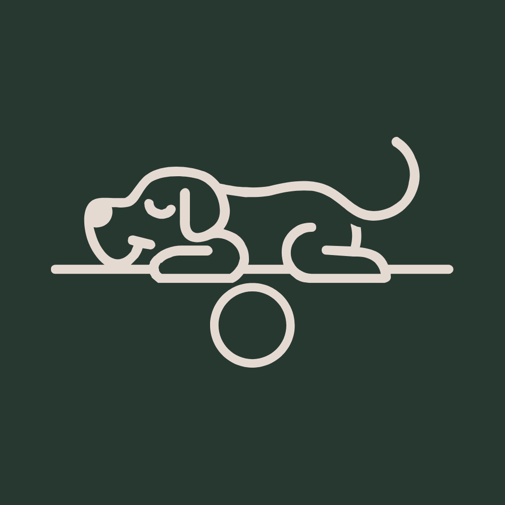 szczeniaczkowy balans - socjalizacja w rytmie szczeniaka