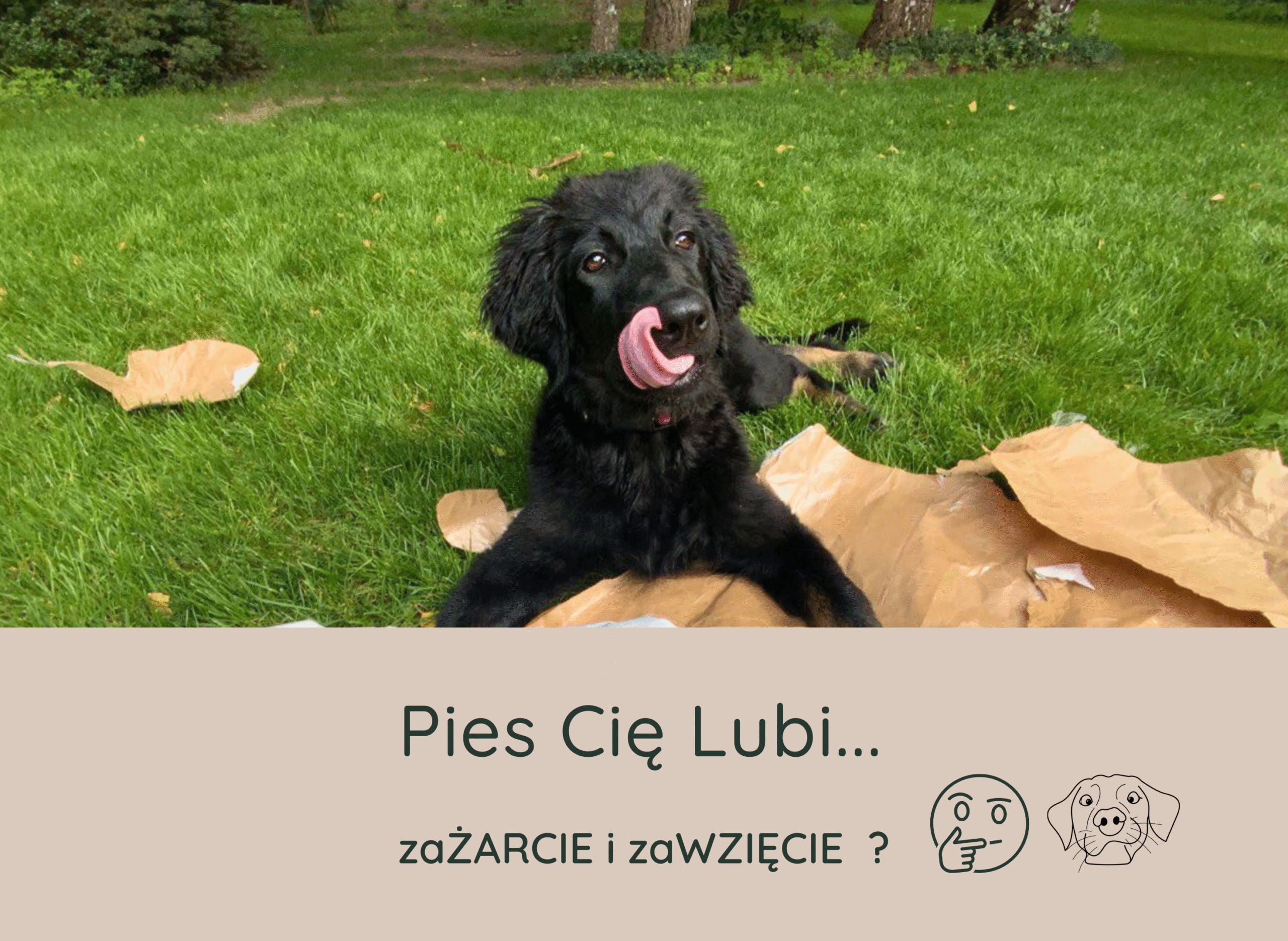 Pies Cię Lubi zaŻARCIE i zaWZIĘCIE…