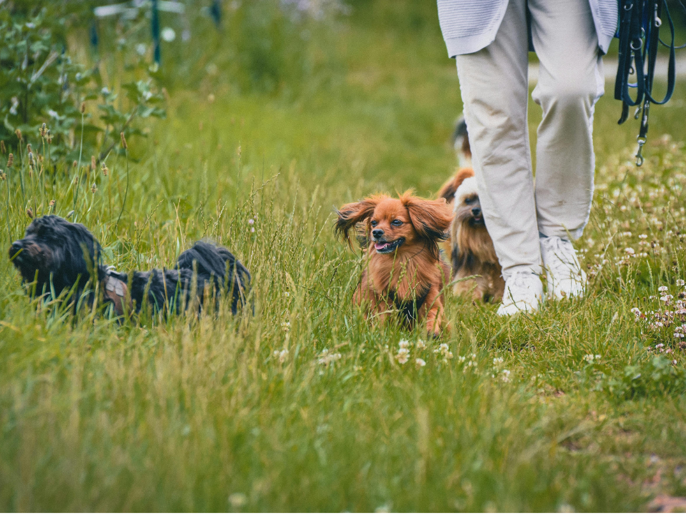 Spacer jako relacja – nie obowiązek