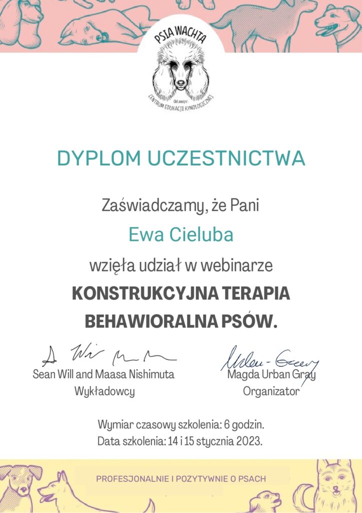 Konstrukcyjna Terapia Behwioralna CAT - Sean Will, Maasa Nishimuta