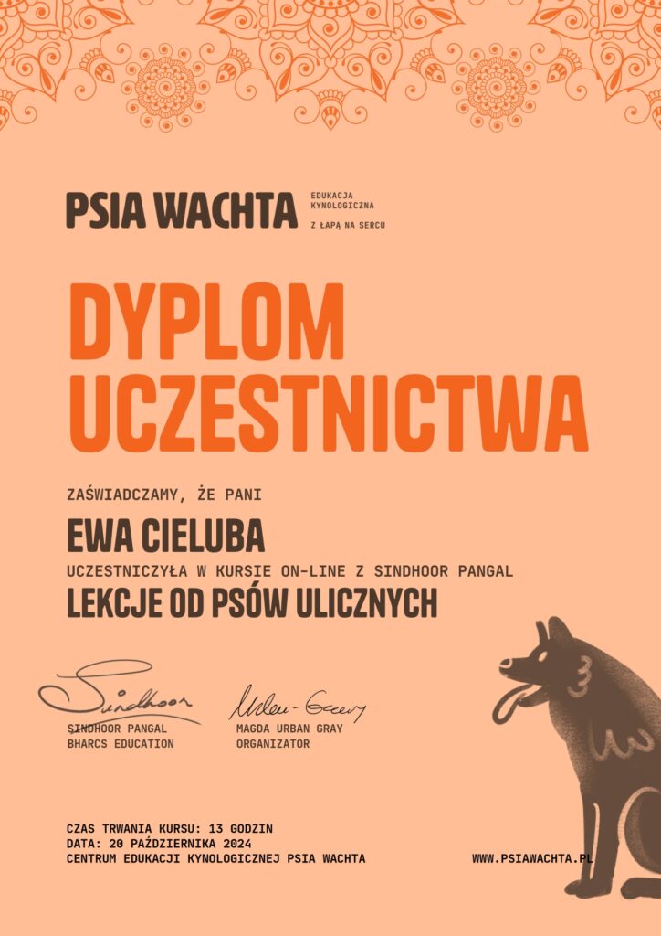 Lekcje od Psów Ulicznych - Sindhoor Pangal