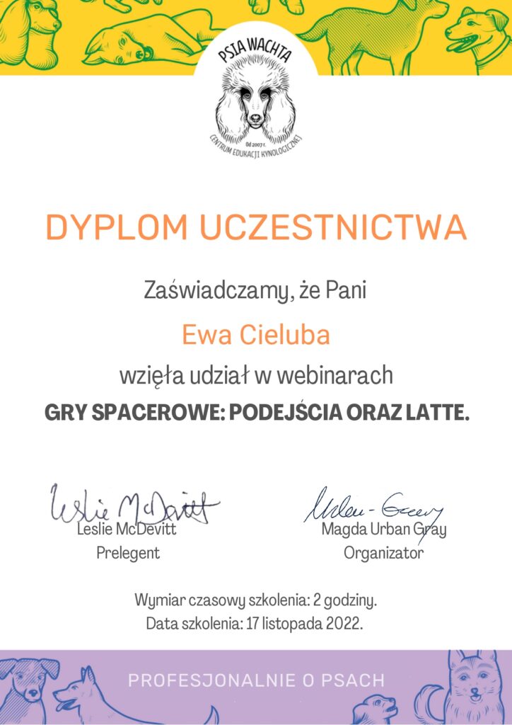 Gry Spacerowe: Podejścia oraz Latte - Leslie McDevitt