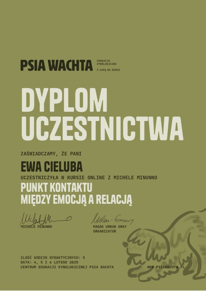Punkt Kontaktu - między emocją a relacją - Michele Minunno