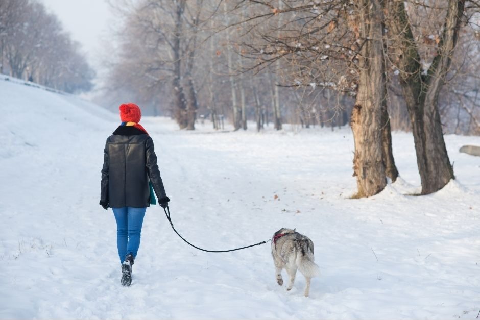 Po drugiej stronie smyczy tej zimy