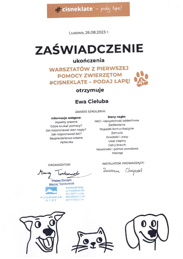 Warsztaty z Pierwszej Pomocy zwierzętom - #cisneklate - podaj łapę