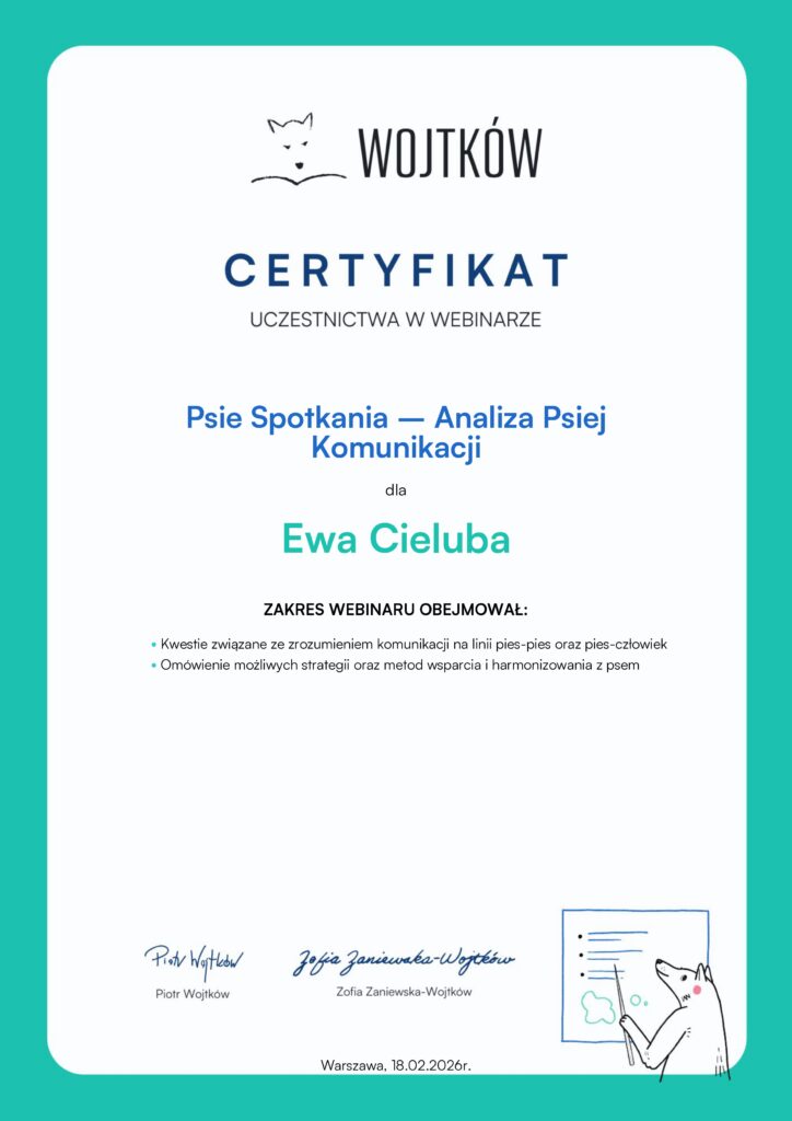 Psie spotkania - Analiza Psiej Komunikacji - Wojtków Szkolenia