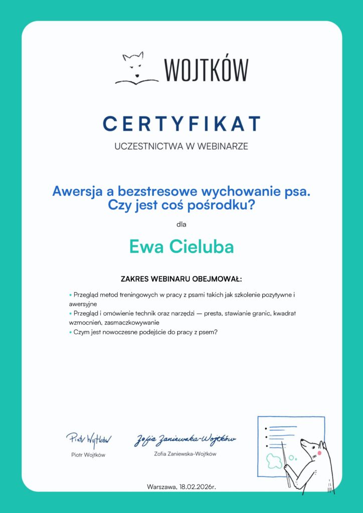 Awersja a bezstresowe wychowanie psa. czy jest coś pośrodku. - Wojtków Szkolenia