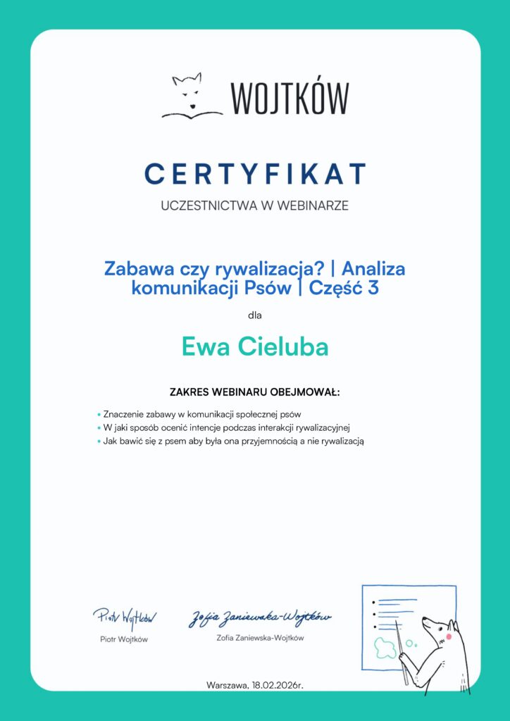 Zabawa czy rywalizacja? Analiza komunikacji Psów - część 3. - Wojtków Szkolenia